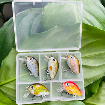 HERCULES 5 Unids/Caja Mini Crankbaits Set Señuelos de Pesca Cebos Duros Swimbaits Barco Océano Topwater Señuelos para Trucha Bass Perca Señuelos de Pesca